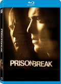 Prison Break Temporada 5 [720p]